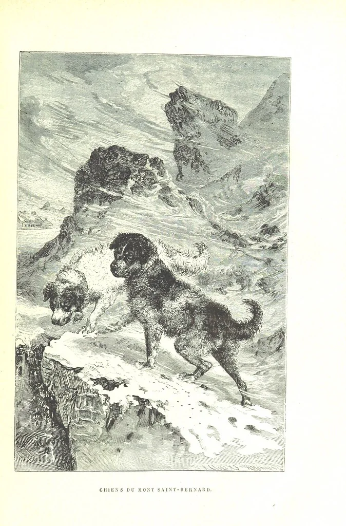 An illustration from La Suisse pittoresque, 1882, leaf 53