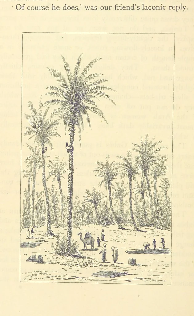 An illustration from Travels in Tunisia. With a glossary, a map, a bibliography, and fifty illustrations, 1887, leaf 156