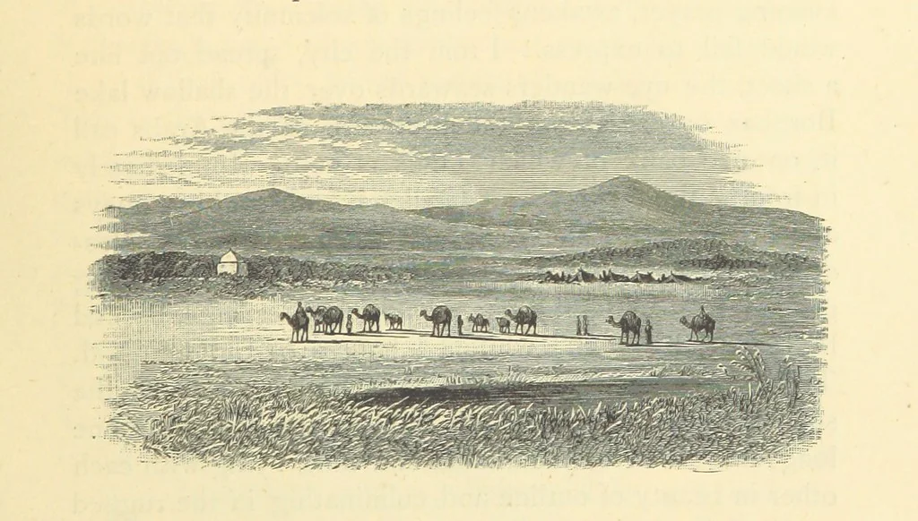 An illustration from Travels in Tunisia. With a glossary, a map, a bibliography, and fifty illustrations, 1887, leaf 33