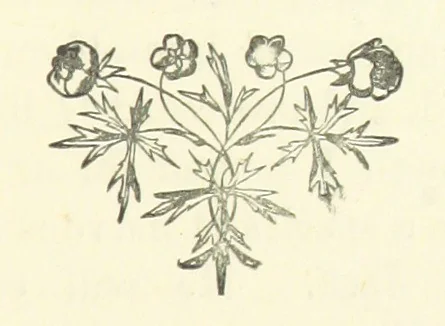 An illustration from One of the Six Hundred. A novel, 1875, leaf 229