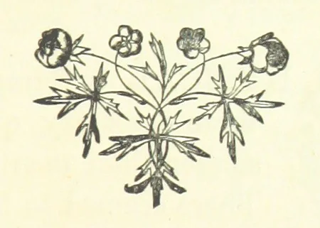 An illustration from One of the Six Hundred. A novel, 1875, leaf 23