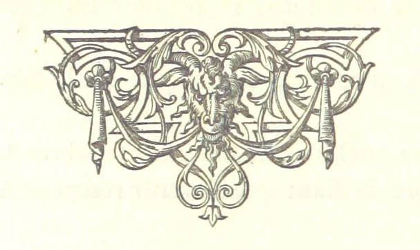 An illustration from Découverte de l'Amérique par les Normands au Xe Siècle, etc. L.P, 1874, leaf 118