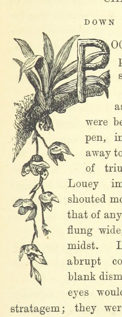 An illustration from Ailie Stuart: a story of school life. [With illustrations, 1873, leaf 137