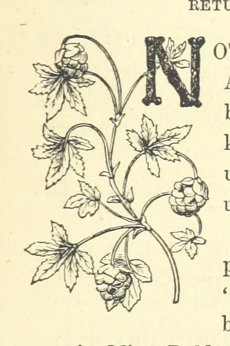 An illustration from Ailie Stuart: a story of school life. [With illustrations, 1873, leaf 203