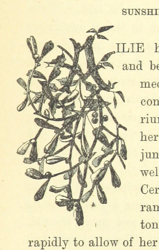 An illustration from Ailie Stuart: a story of school life. [With illustrations, 1873, leaf 213
