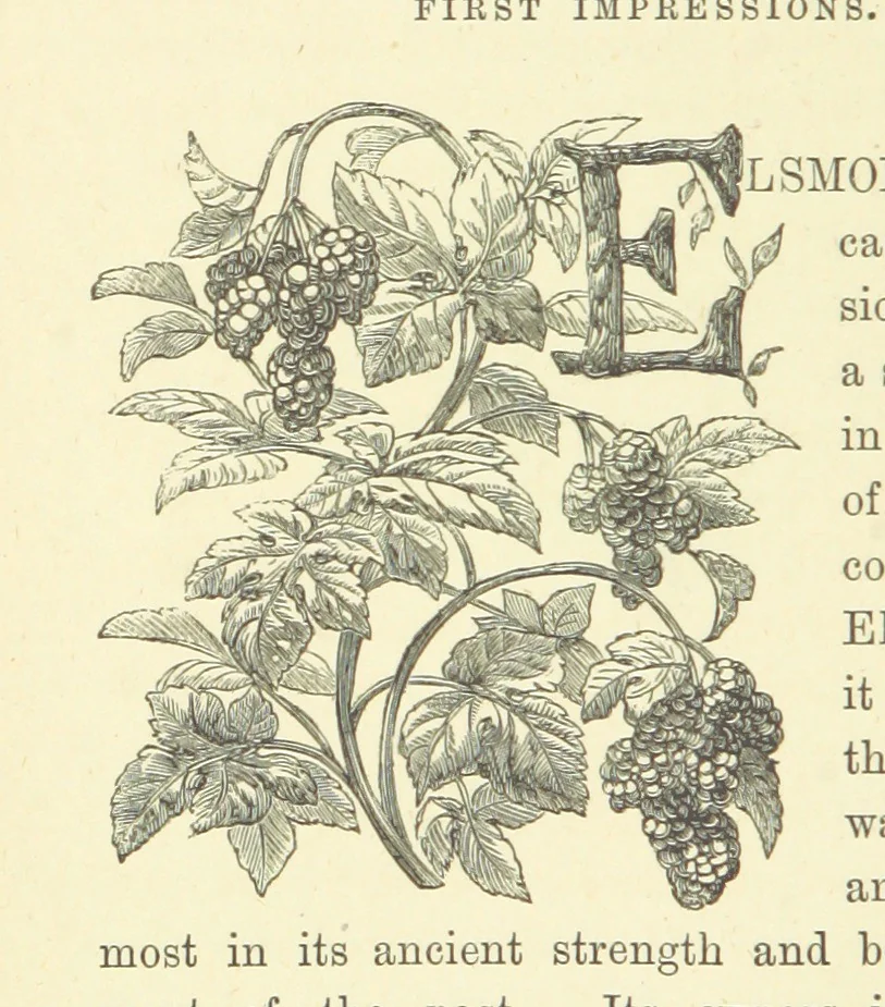 An illustration from Ailie Stuart: a story of school life. [With illustrations, 1873, leaf 24