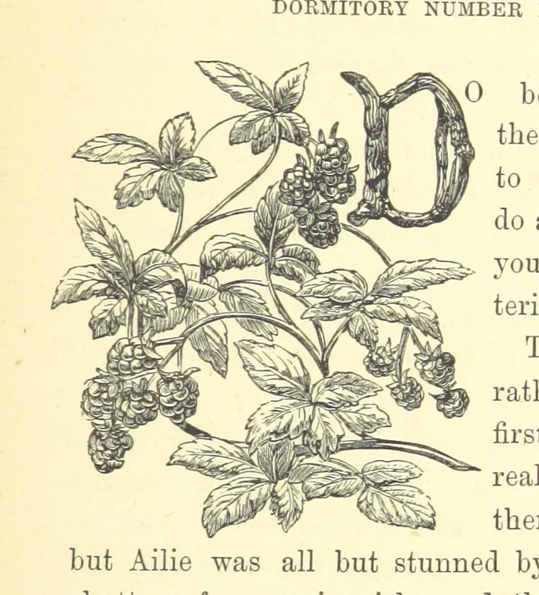 An illustration from Ailie Stuart: a story of school life. [With illustrations, 1873, leaf 33