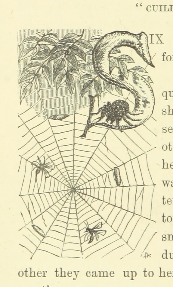 An illustration from Ailie Stuart: a story of school life. [With illustrations, 1873, leaf 54