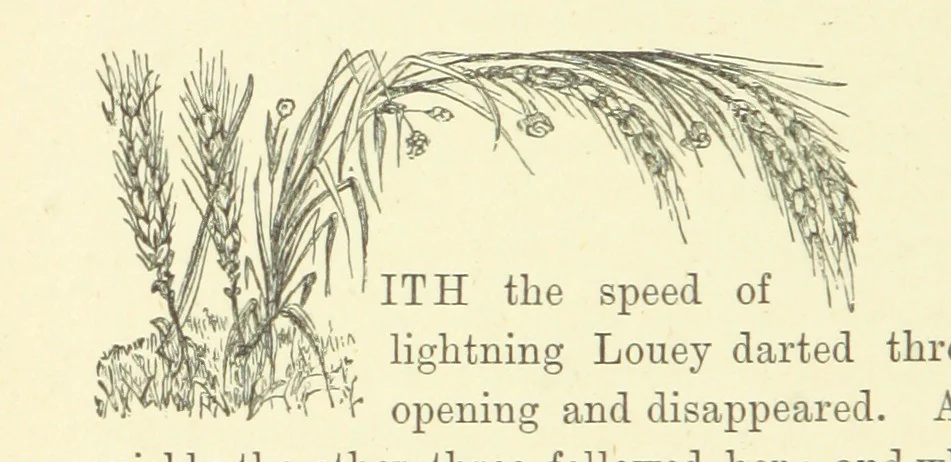 An illustration from Ailie Stuart: a story of school life. [With illustrations, 1873, leaf 76