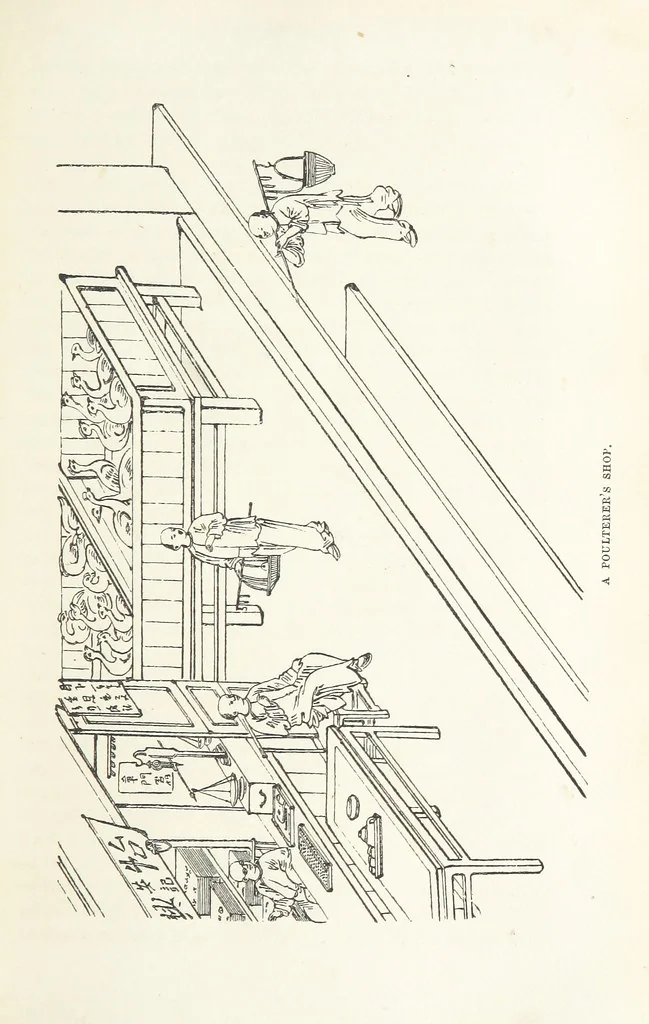 An illustration from China: a history of the laws, manners, and customs of the people. ... Edited by W. G. Gregor. With ... illustrations, 1878, leaf 119