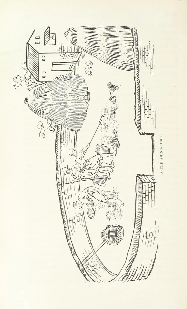 An illustration from China: a history of the laws, manners, and customs of the people. ... Edited by W. G. Gregor. With ... illustrations, 1878, leaf 210