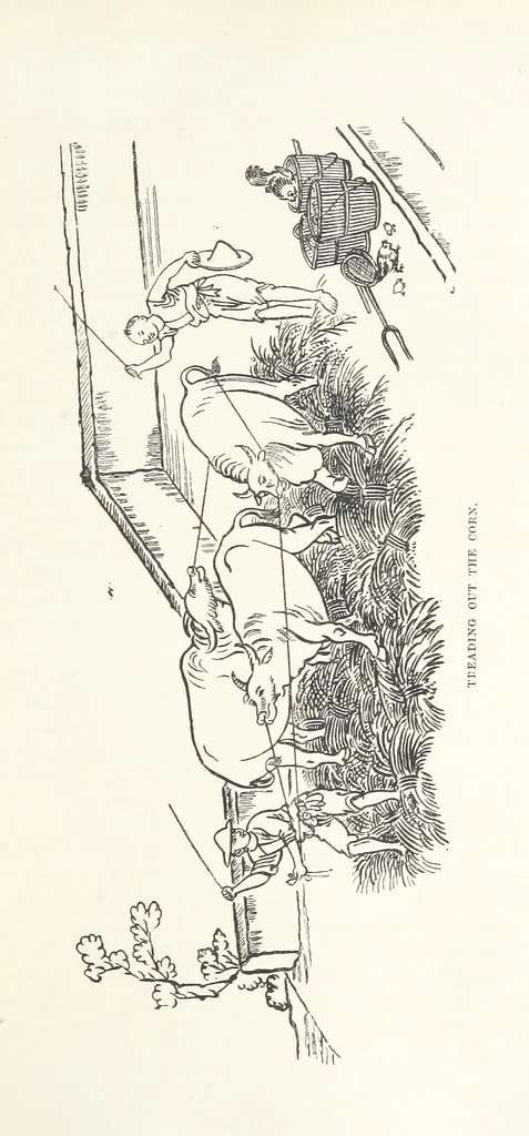 An illustration from China: a history of the laws, manners, and customs of the people. ... Edited by W. G. Gregor. With ... illustrations, 1878, leaf 213