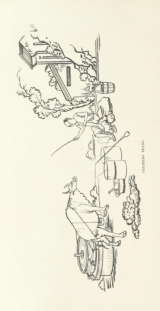 An illustration from China: a history of the laws, manners, and customs of the people. ... Edited by W. G. Gregor. With ... illustrations, 1878, leaf 226