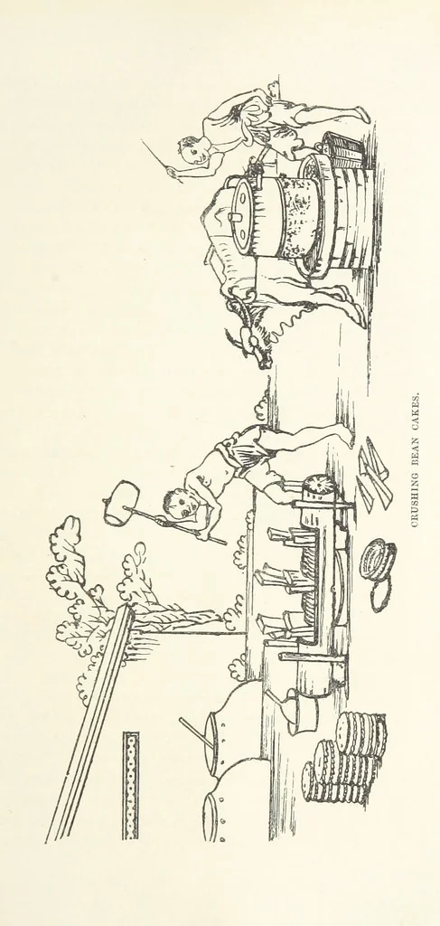 An illustration from China: a history of the laws, manners, and customs of the people. ... Edited by W. G. Gregor. With ... illustrations, 1878, leaf 229