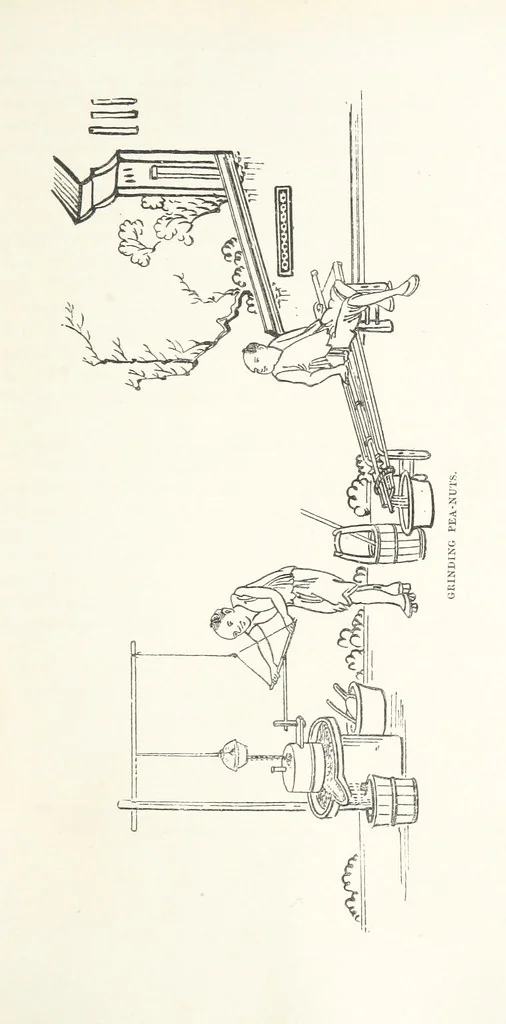 An illustration from China: a history of the laws, manners, and customs of the people. ... Edited by W. G. Gregor. With ... illustrations, 1878, leaf 235
