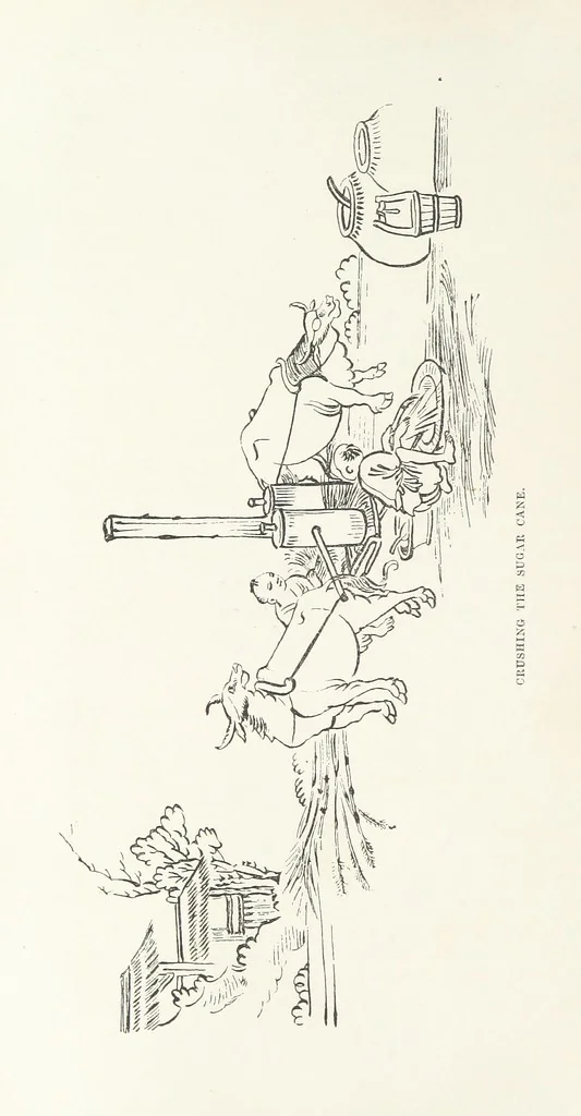 An illustration from China: a history of the laws, manners, and customs of the people. ... Edited by W. G. Gregor. With ... illustrations, 1878, leaf 238