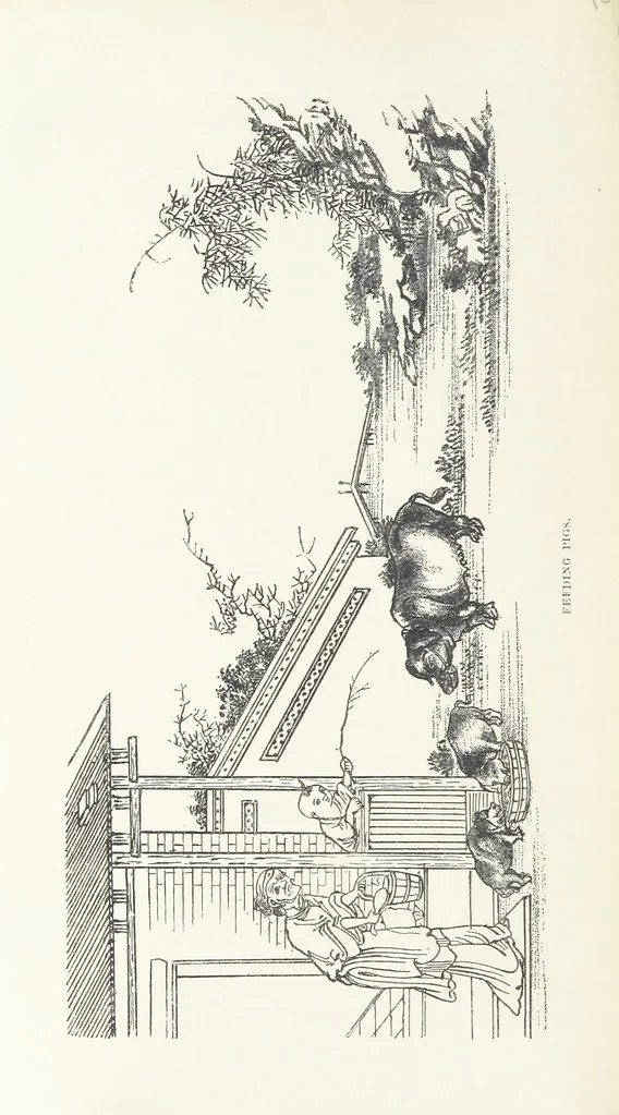 An illustration from China: a history of the laws, manners, and customs of the people. ... Edited by W. G. Gregor. With ... illustrations, 1878, leaf 284
