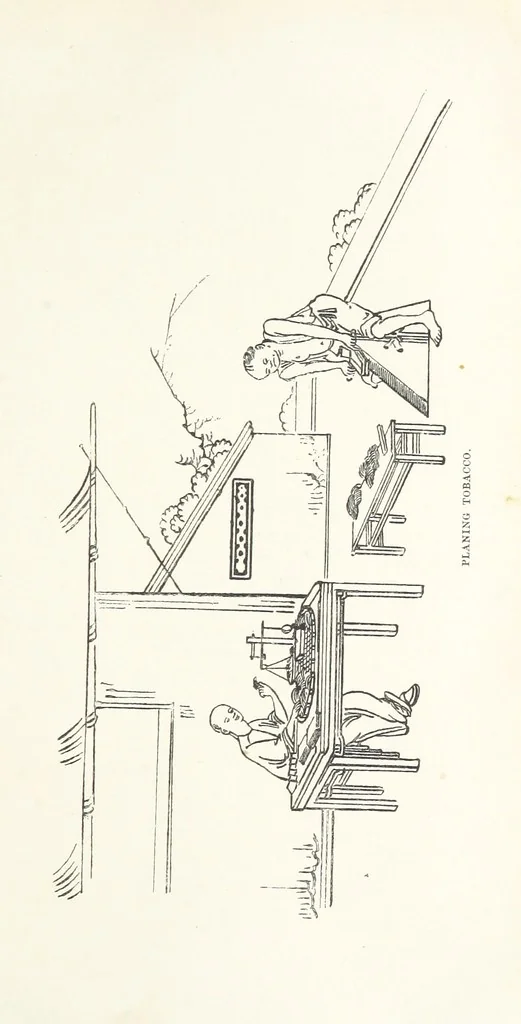An illustration from China: a history of the laws, manners, and customs of the people. ... Edited by W. G. Gregor. With ... illustrations, 1878, leaf 287