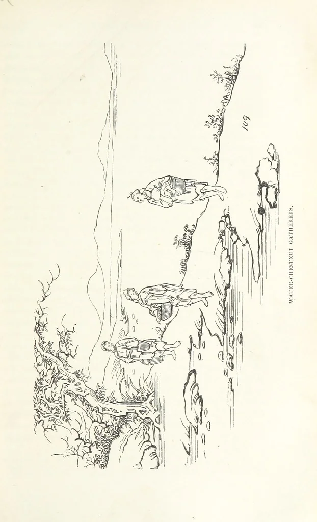 An illustration from China: a history of the laws, manners, and customs of the people. ... Edited by W. G. Gregor. With ... illustrations, 1878, leaf 327
