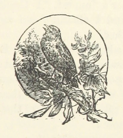 An illustration from Mrs. Romaine's Household, 1891, leaf 199