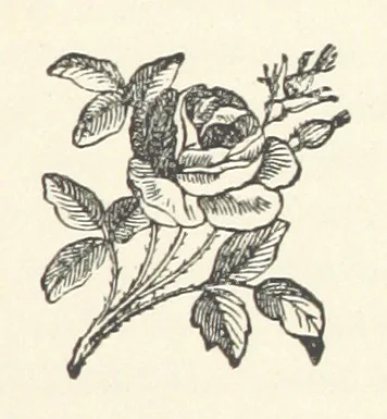 An illustration from Mrs. Romaine's Household, 1891, leaf 41