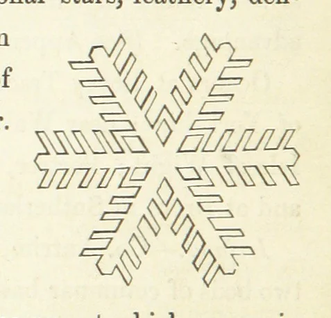 An illustration from Manual of the Mineralogy of Great Britain and Ireland, 1858, leaf 32