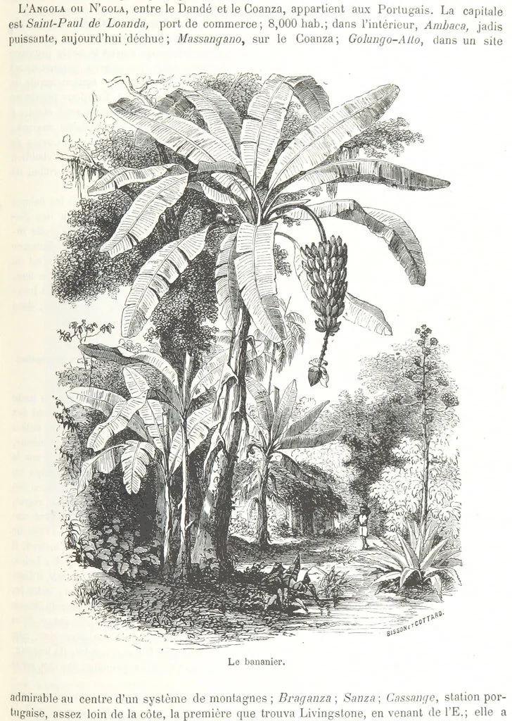 An illustration from Géographie générale; physique, politique et économique. ... Avec ... cartes ... gravures, etc, 1876, leaf 1035