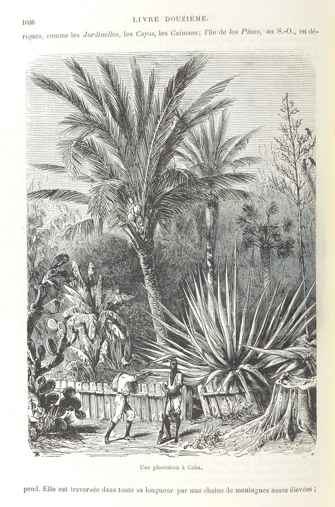 An illustration from Géographie générale; physique, politique et économique. ... Avec ... cartes ... gravures, etc, 1876, leaf 1146