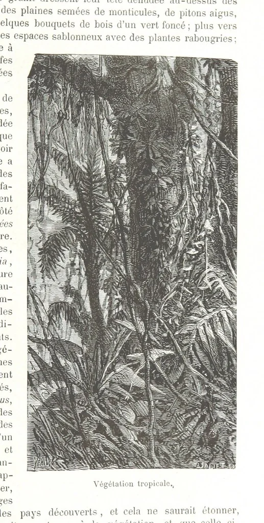 An illustration from Géographie générale; physique, politique et économique. ... Avec ... cartes ... gravures, etc, 1876, leaf 1185