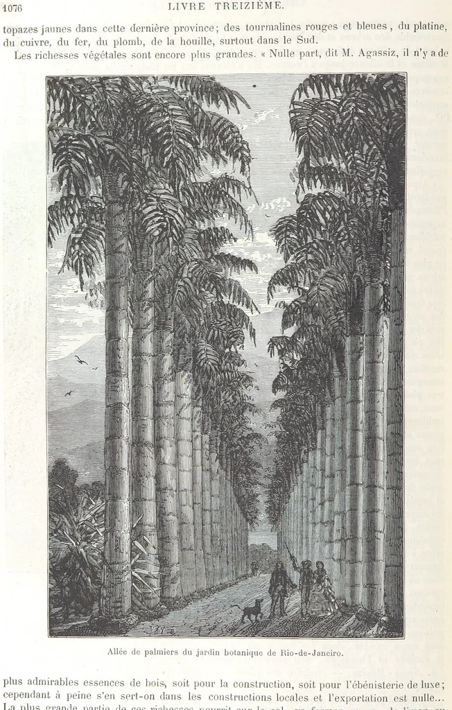 An illustration from Géographie générale; physique, politique et économique. ... Avec ... cartes ... gravures, etc, 1876, leaf 1186