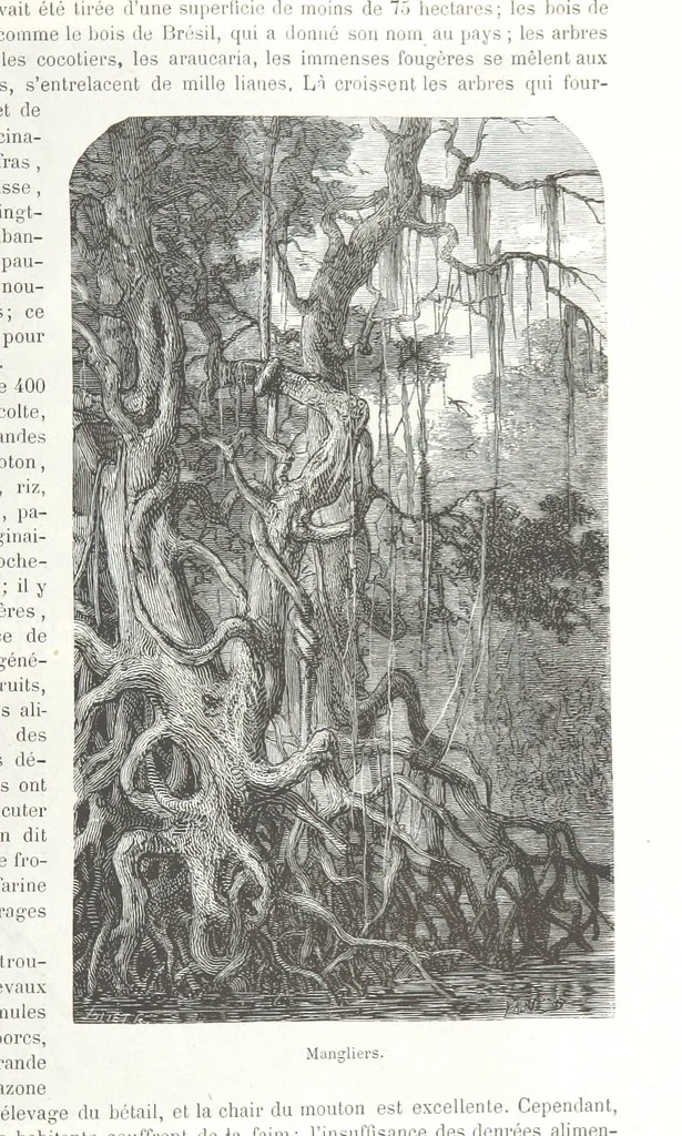 An illustration from Géographie générale; physique, politique et économique. ... Avec ... cartes ... gravures, etc, 1876, leaf 1187