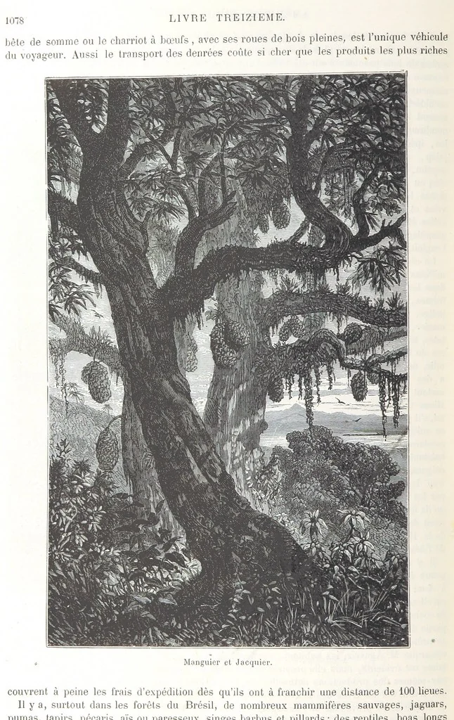 An illustration from Géographie générale; physique, politique et économique. ... Avec ... cartes ... gravures, etc, 1876, leaf 1188
