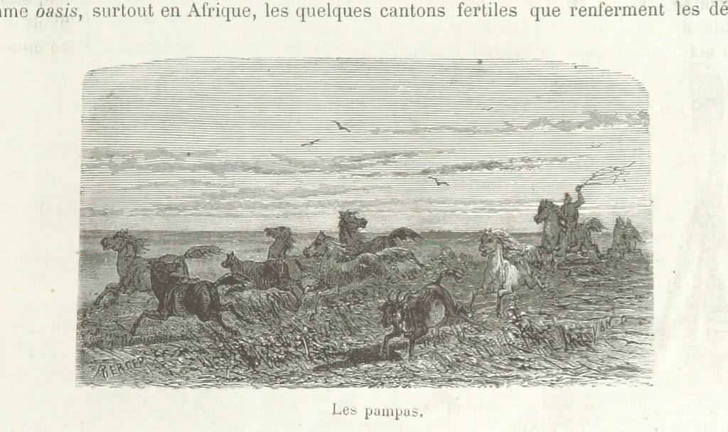 An illustration from Géographie générale; physique, politique et économique. ... Avec ... cartes ... gravures, etc, 1876, leaf 25