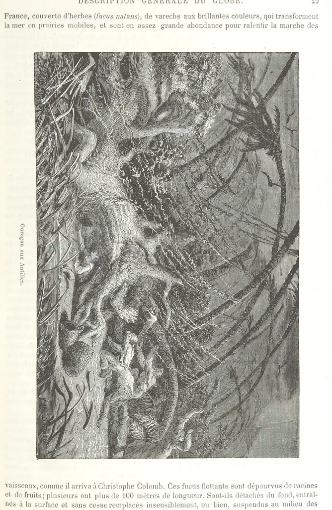 An illustration from Géographie générale; physique, politique et économique. ... Avec ... cartes ... gravures, etc, 1876, leaf 45