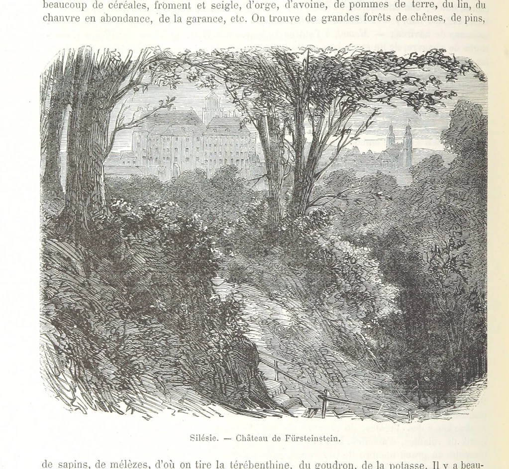 An illustration from Géographie générale; physique, politique et économique. ... Avec ... cartes ... gravures, etc, 1876, leaf 580
