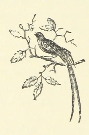 An illustration from A soldier born, or the adventures of a Subaltern of the 95th in the Crimea and Indian Mutiny. [A tale] ... Illustrated by W. Pearce, 1886, leaf 94