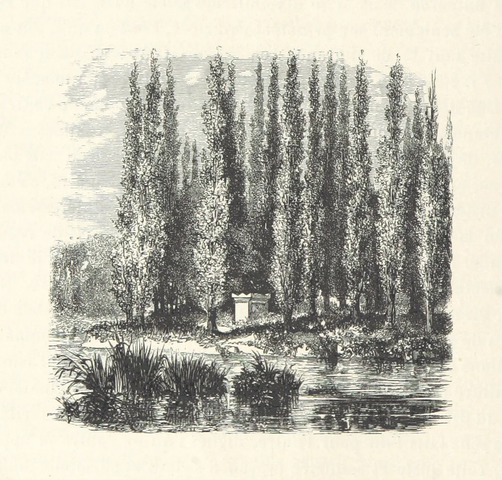 An illustration from L'Histoire de France depuis les temps les plus reculés jusqu'en 1789, racontée à mes petits-enfants ... Ouvrage illustré ... d'après les dessins d'A. de Neuville, 1870, leaf 314