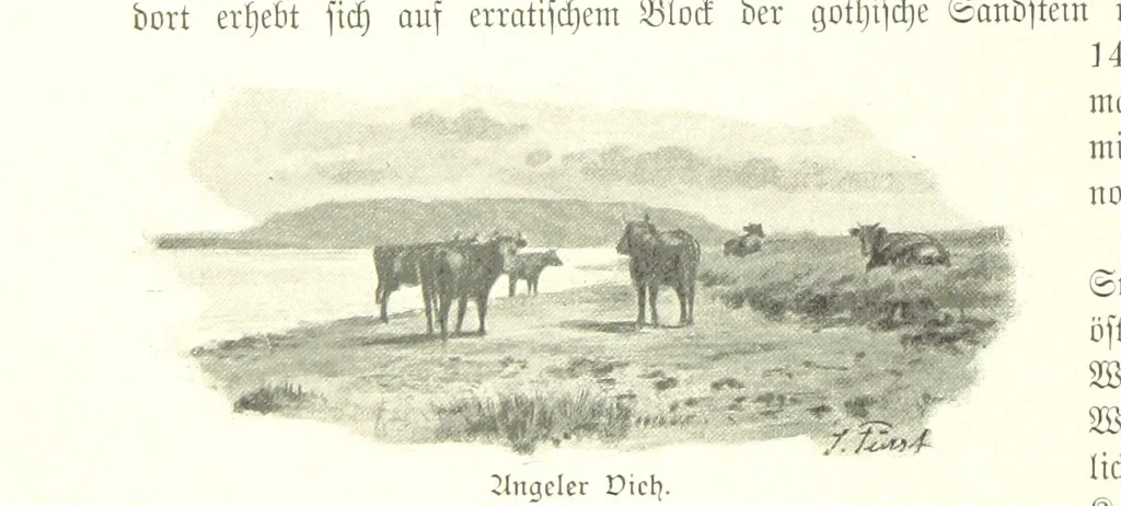 An illustration from Schleswig-Holstein meerumschlungen in Wort und Bild ... Herausgegeben von H. Haas, H. Krumm und F. Stoltenberg, etc, 1896, leaf 228