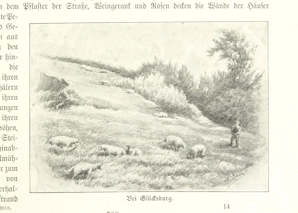 An illustration from Schleswig-Holstein meerumschlungen in Wort und Bild ... Herausgegeben von H. Haas, H. Krumm und F. Stoltenberg, etc, 1896, leaf 229