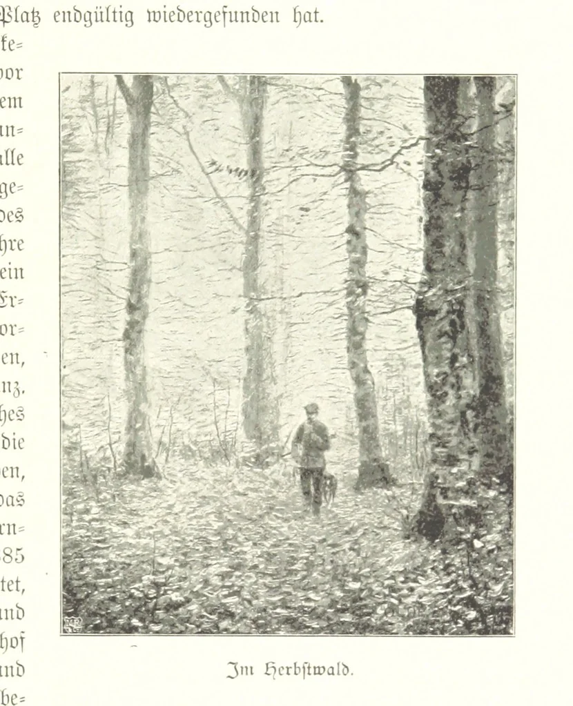 An illustration from Schleswig-Holstein meerumschlungen in Wort und Bild ... Herausgegeben von H. Haas, H. Krumm und F. Stoltenberg, etc, 1896, leaf 241