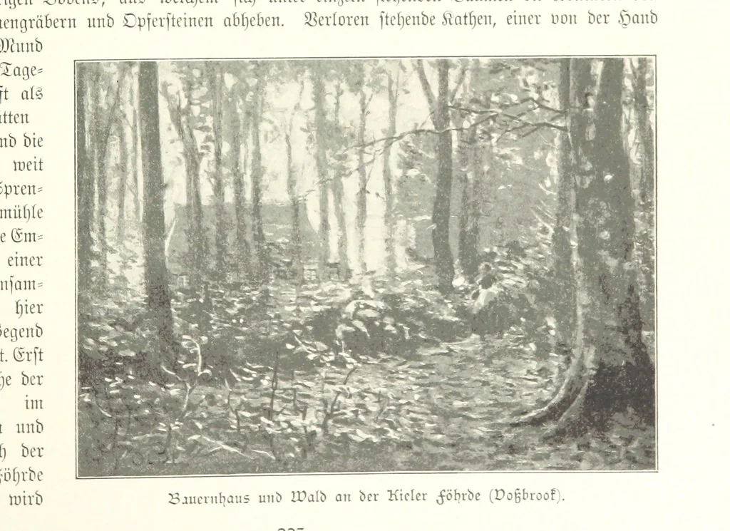 An illustration from Schleswig-Holstein meerumschlungen in Wort und Bild ... Herausgegeben von H. Haas, H. Krumm und F. Stoltenberg, etc, 1896, leaf 243