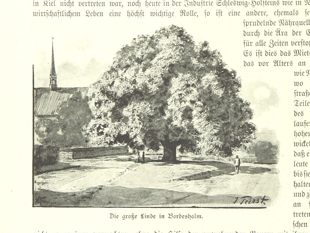 An illustration from Schleswig-Holstein meerumschlungen in Wort und Bild ... Herausgegeben von H. Haas, H. Krumm und F. Stoltenberg, etc, 1896, leaf 266