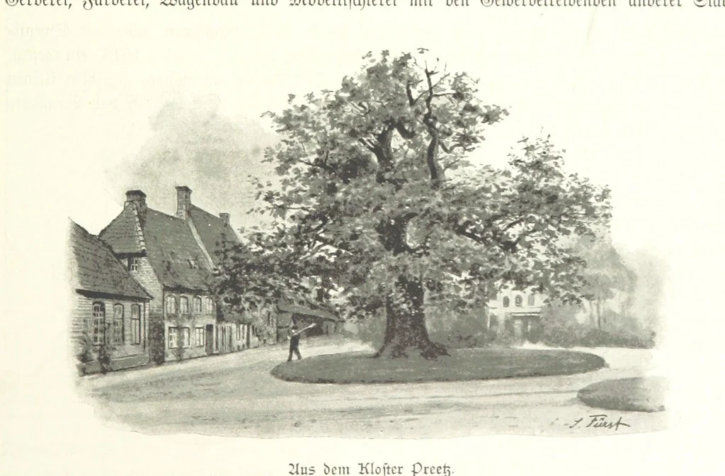 An illustration from Schleswig-Holstein meerumschlungen in Wort und Bild ... Herausgegeben von H. Haas, H. Krumm und F. Stoltenberg, etc, 1896, leaf 271