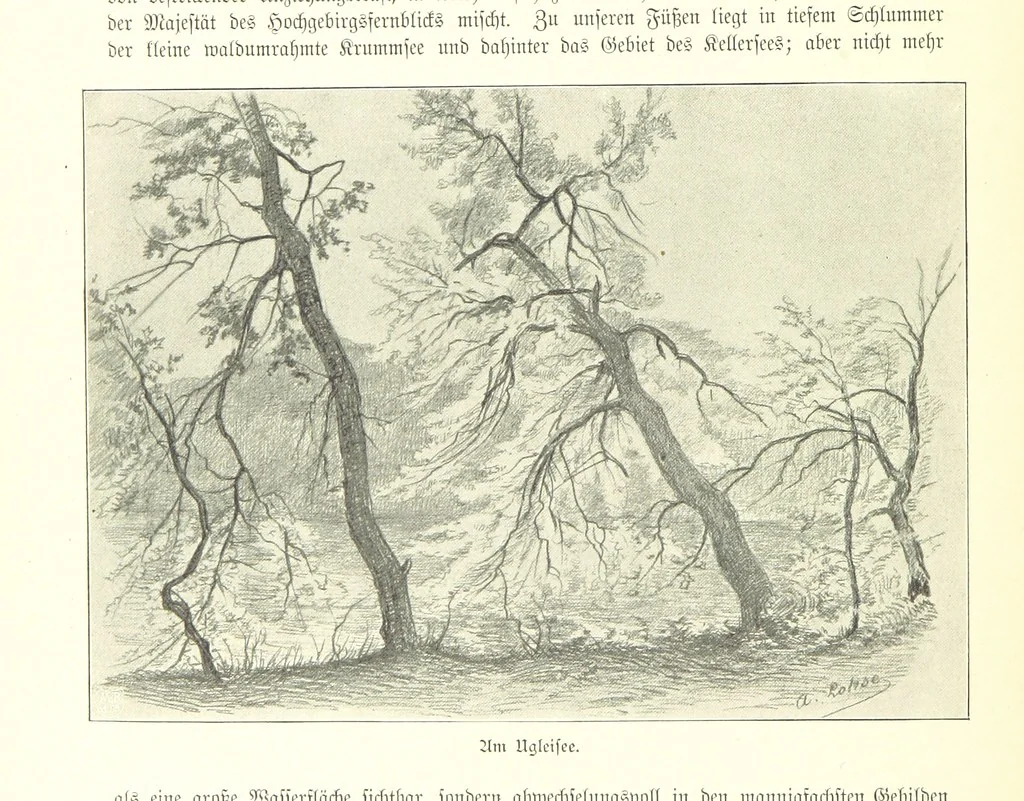 An illustration from Schleswig-Holstein meerumschlungen in Wort und Bild ... Herausgegeben von H. Haas, H. Krumm und F. Stoltenberg, etc, 1896, leaf 280