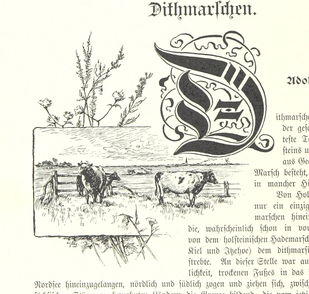 An illustration from Schleswig-Holstein meerumschlungen in Wort und Bild ... Herausgegeben von H. Haas, H. Krumm und F. Stoltenberg, etc, 1896, leaf 320