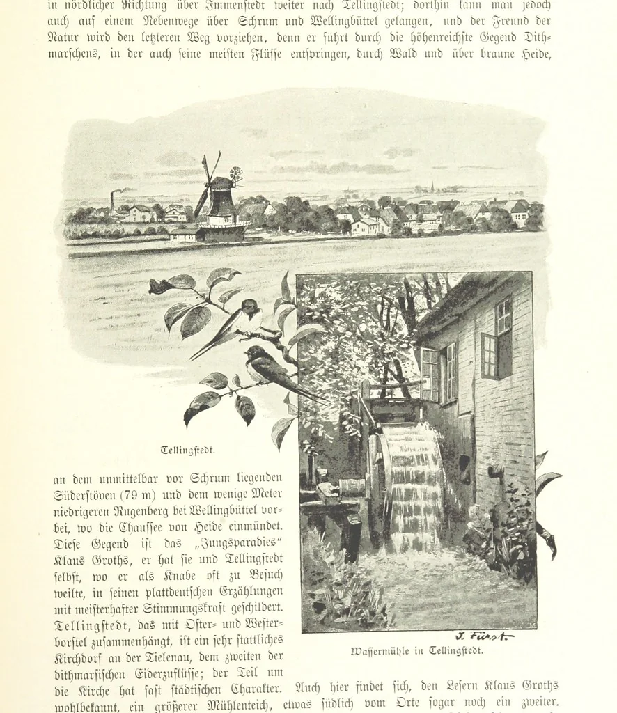 An illustration from Schleswig-Holstein meerumschlungen in Wort und Bild ... Herausgegeben von H. Haas, H. Krumm und F. Stoltenberg, etc, 1896, leaf 323