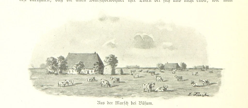 An illustration from Schleswig-Holstein meerumschlungen in Wort und Bild ... Herausgegeben von H. Haas, H. Krumm und F. Stoltenberg, etc, 1896, leaf 332