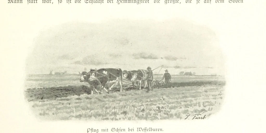 An illustration from Schleswig-Holstein meerumschlungen in Wort und Bild ... Herausgegeben von H. Haas, H. Krumm und F. Stoltenberg, etc, 1896, leaf 333