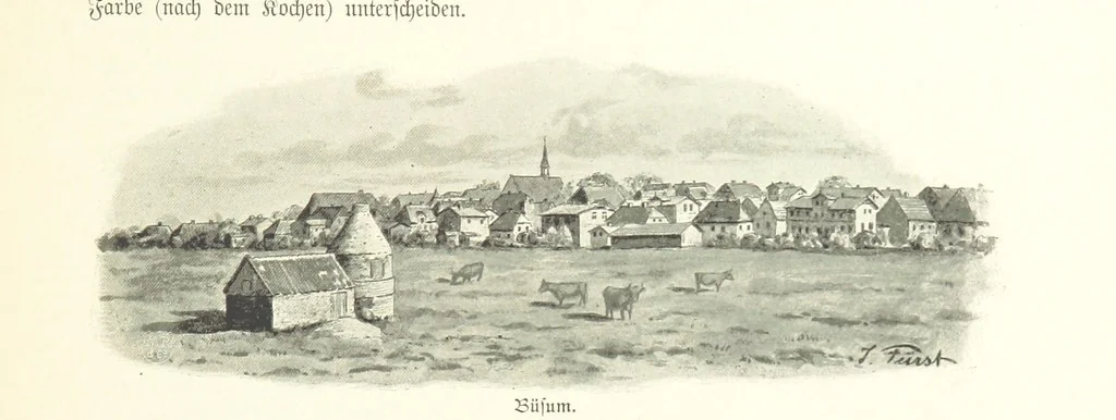 An illustration from Schleswig-Holstein meerumschlungen in Wort und Bild ... Herausgegeben von H. Haas, H. Krumm und F. Stoltenberg, etc, 1896, leaf 337