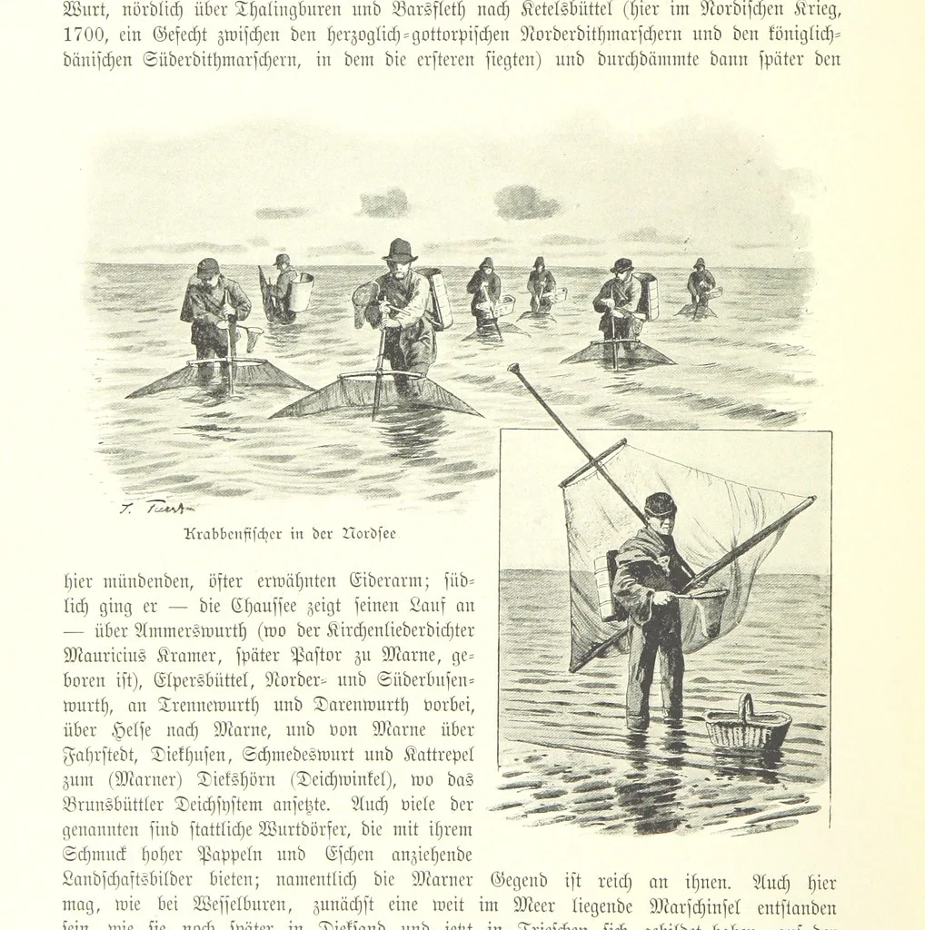 An illustration from Schleswig-Holstein meerumschlungen in Wort und Bild ... Herausgegeben von H. Haas, H. Krumm und F. Stoltenberg, etc, 1896, leaf 338